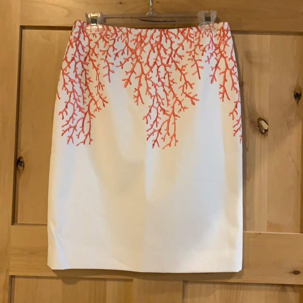 Beautiful Embroidered Lined Skirt Sz 2